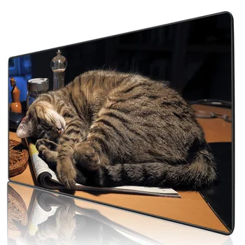 

XGZ Please don't wake up a sleeping cat Gaming Mousepad Gamer Lock Ege Personalized Table Pc keybard Mat HD Printing Customzable