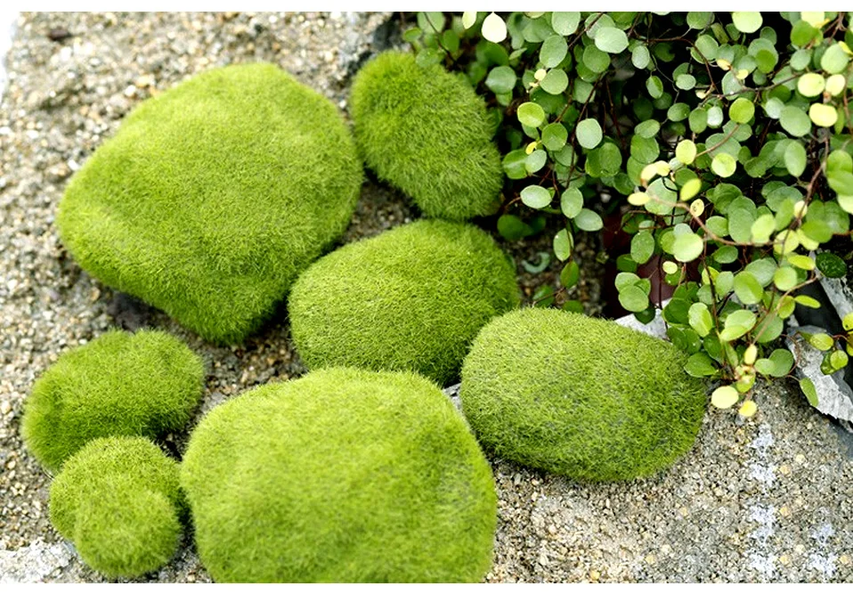 HTB1.xsBS6DpK1RjSZFrq6y78VXam