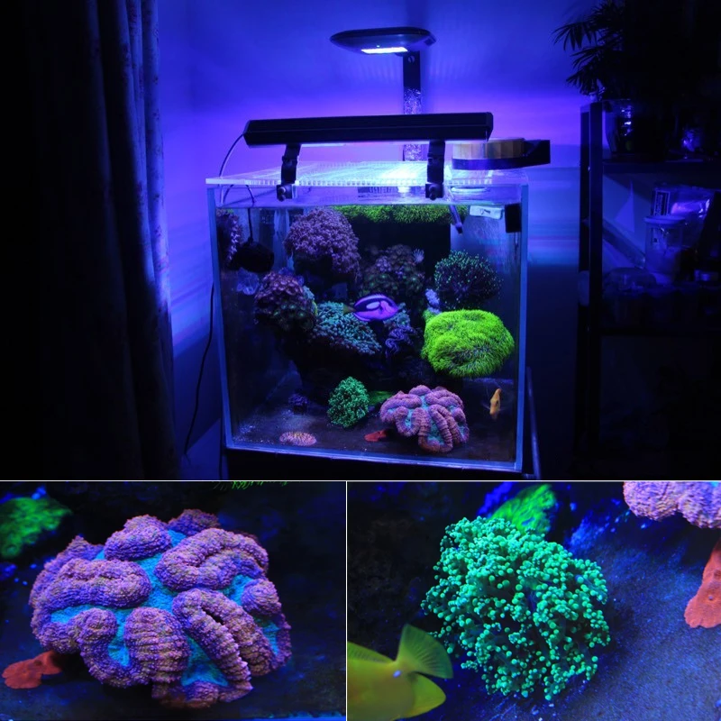 Подсветка для аквариума Cree LED 70 Вт 80 90 120 150 Wi Fi программа морской и соленой воды
