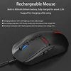 Mouse & Keyboards