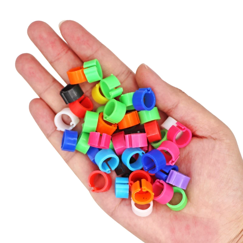 100Pcs Birds Pigeon Foot Rings Small Poultry Foot Ring 10 Colors Plastic Dove Clip Quail Pigeon Ring Pet Bird Supplies bird foot rings birds foot rings