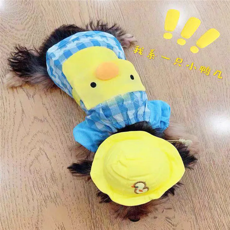 使用5