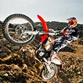 Knight Racing Parts Store