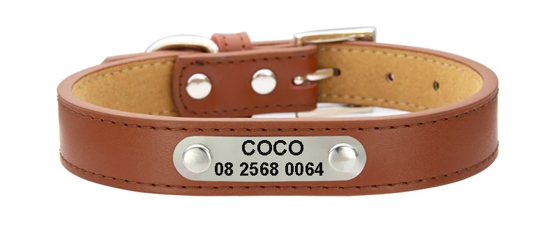 small dog collar-