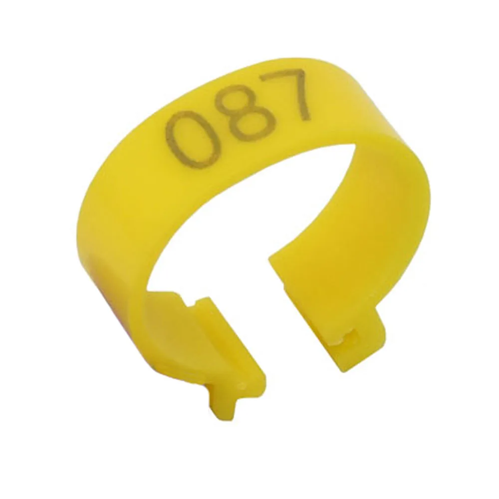 DSC_5466 - 副本 (4) - 副本