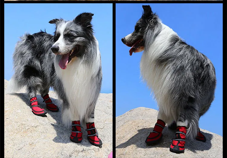 O1CN011QkuWcNVd9WHDpg_!!2340322015_