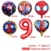 6pc Balloon random