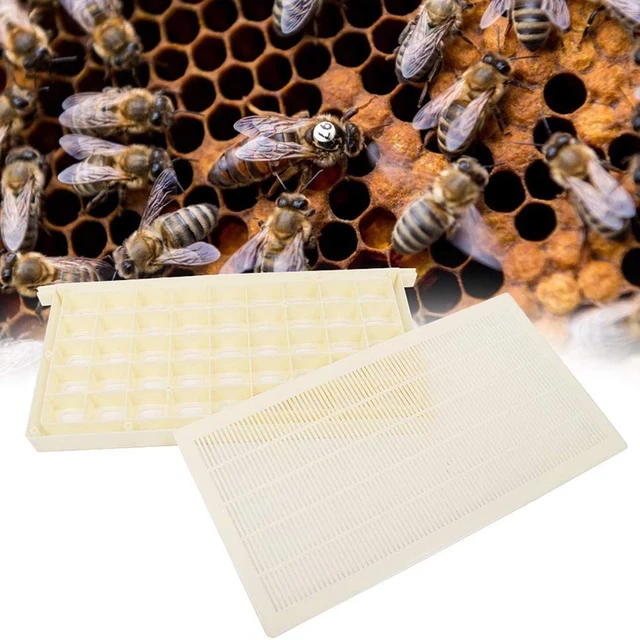 Műanyag Méhkateret Queen Méhek Raktárkirálynő Méh Ketrec Keret Tenyésztés A Qeen Tárolására És Szállítására - Image 2
