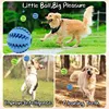 5cm Natural Rubber Pet Dog Toys Dog Chew Toys Tooth Cleaning Treat Ball Extra-tough Interactive Elasticity Ball for Pet Products 2