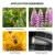 SHOOT 4 Way Macro Focusing Rail Slider для Canon Sony Nikon Pentax Close-Up Shooting Штативная головка с винтом 1/4 для DSLR камеры