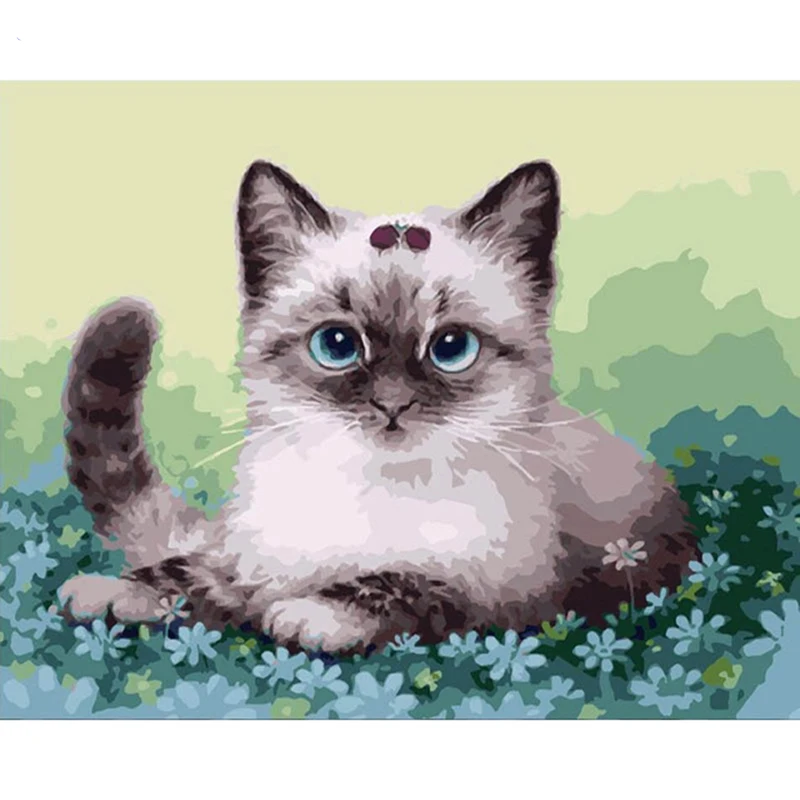 Birthday Cute Cat Animal DIY Digital Painting By Numbers Modern Wall Art Oil Christmas Brithday Home Decor 40x50 | Дом и сад