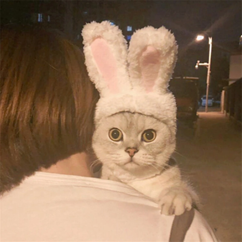 12800897904_1376810279