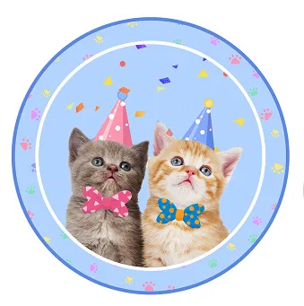 1Set Pet Cats Birthday Paper Cup Plate Napkin Party Bunting Cat Kids Happy Birthday Banner Party Baby Shower Decoration Supplies 