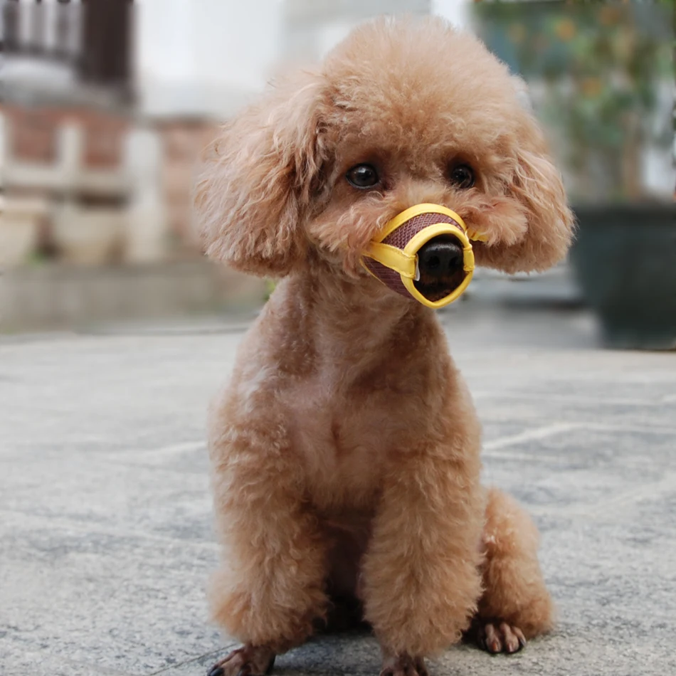Dog Muzzle Puppy Small Medium Large dog Leatherette Nylon Mesh Muzzle  Pet muzzle