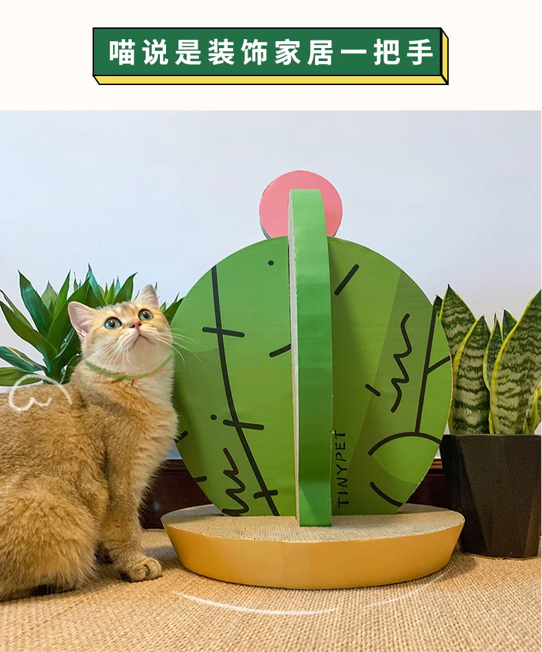 仙人掌详情页_10