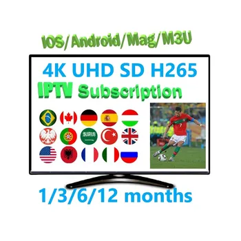

Arabic Europe Brasil USA IPTV subscription 5000+ live 9000 VOD 600+ XXX Romania UK French Caribbean Roman European German Dutch