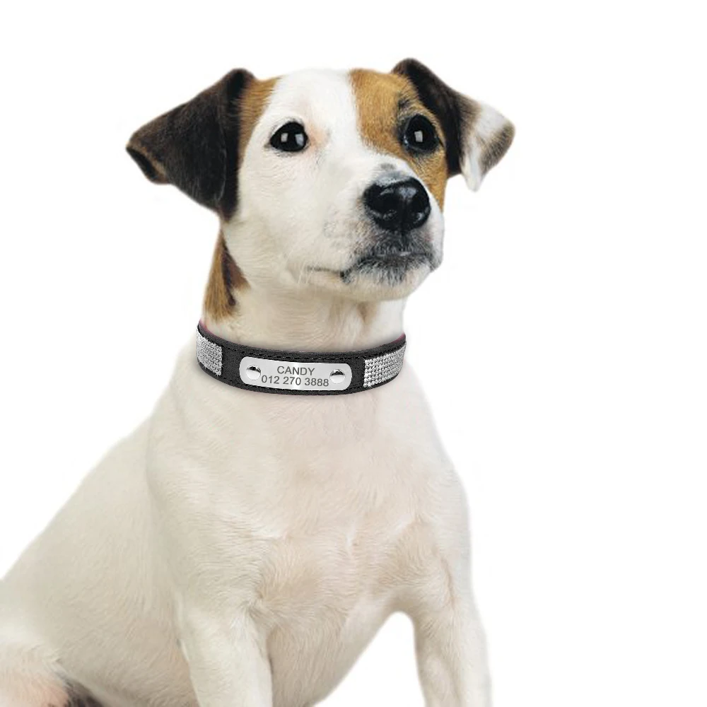 Personalized Dog Collar Leather Puppy Collar With Name Tag Adjustable For Small Medium Dogs Cats dog collar pet collar