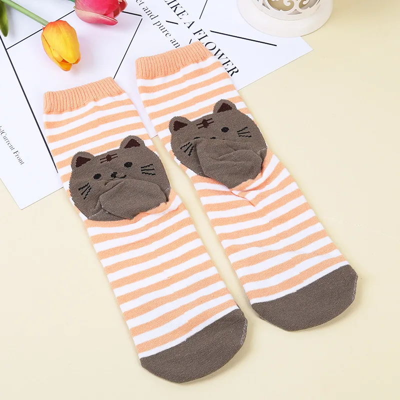 9058834496_618938714