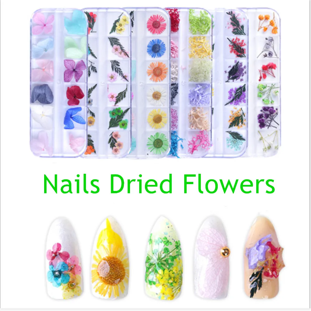 New Japanese Set Boxed 12 Color 3d Three-dimensional Natural Jewelry Lace Starry Five-petal Flower Nails Dried Flowers | Красота и