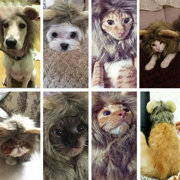 Костюм для домашних животных Косплей льва грива парик шапка шляпа делает вашего питомца более милым, приносит владельца счастье. Одеваются для собак/кошек
