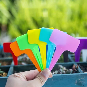 

Gardening Flower Label Plant Label Succulent Plastic Mixed Color Randomly Issued (200PCS)