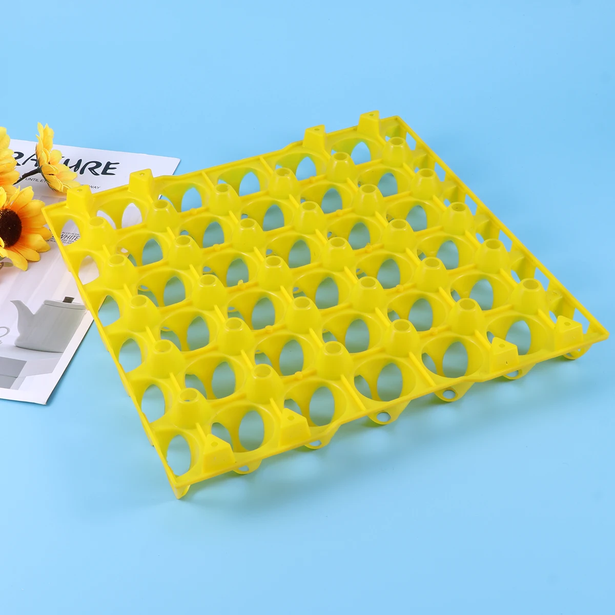 

2pcs Plastic 30-Grid Creative Egg Storage Box Egg Tray for Restaurant Family Home Kitchen
