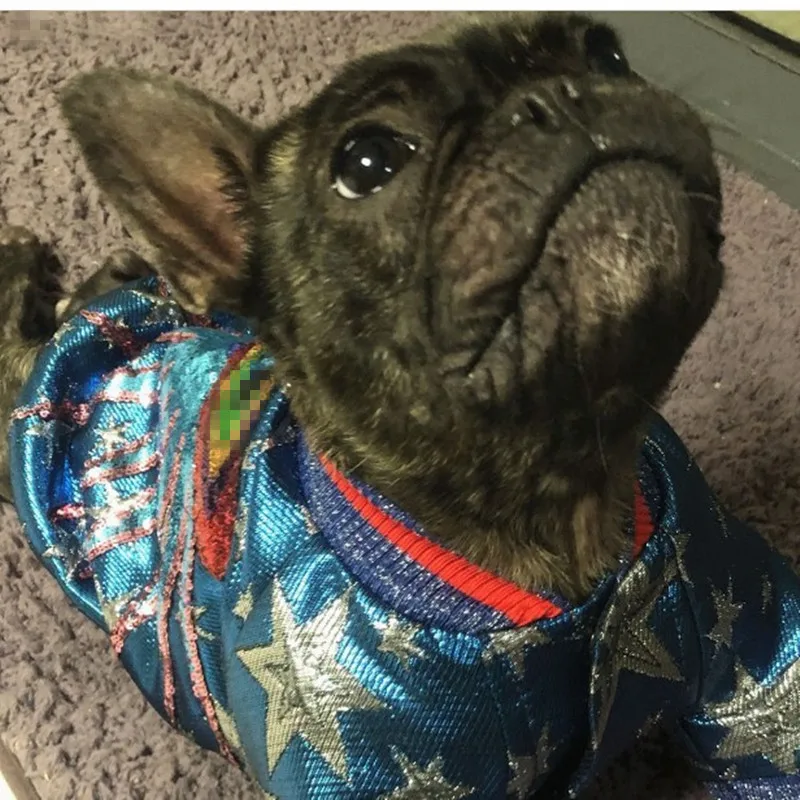 Fashion bling Dog winter jacket cotton parka B859 | Дом и сад