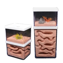 

MEOWS Pet Anthill Castle Natural Ecological Ant Farm Nest Kit Moisturizing Plaster Insect Box With Workshop Reptilia House