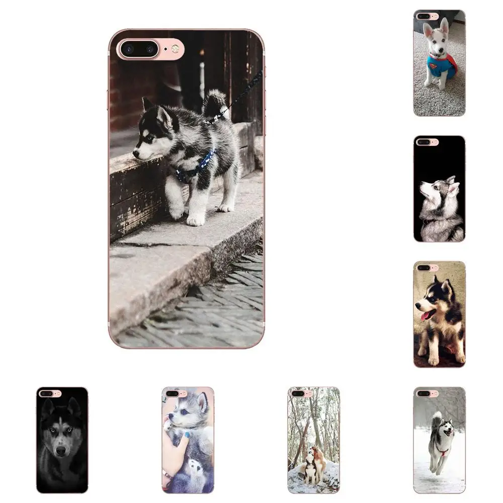 Мягкие чехлы Capa Lovely Animal Husky Puppy для Huawei Honor 4C 5A 5X 6A 6C 6X 7X 9 V8 V10 Mate 7 8 10 P9 P20 Pro Lite Play |