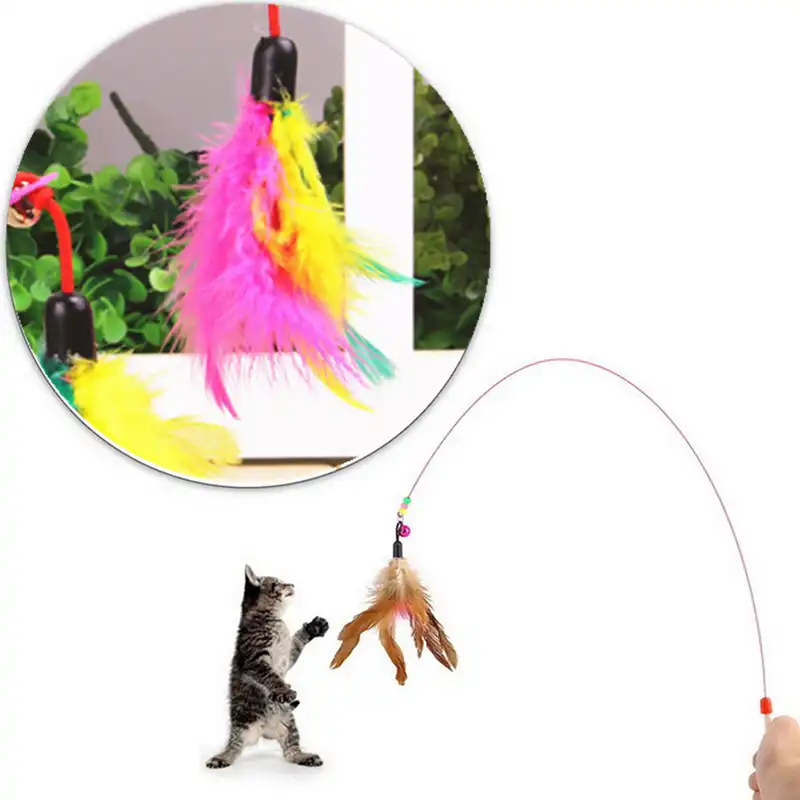 cat play house action