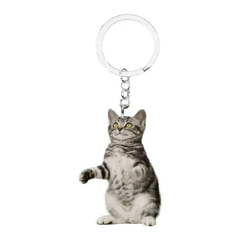 

Cat Acrylic British Shorthairs Keychain Animal Fashion Stainless Steel Men Key Chain Ring Boyfriend Gift Gifts for Women Keyring