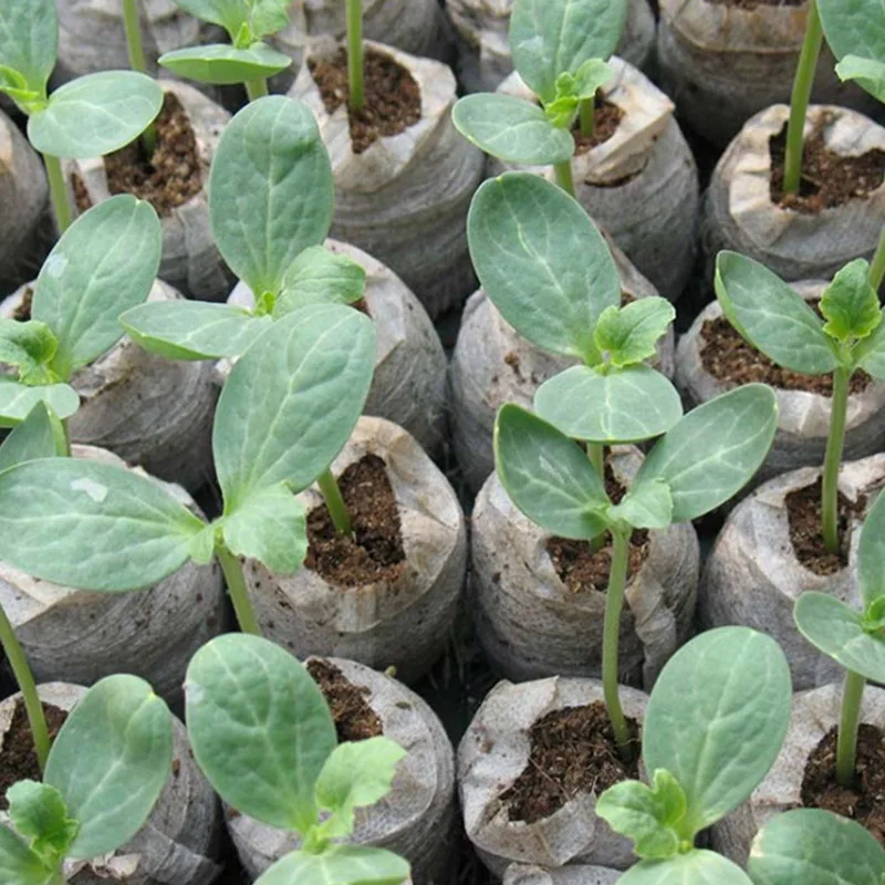 11808932094_1732935345