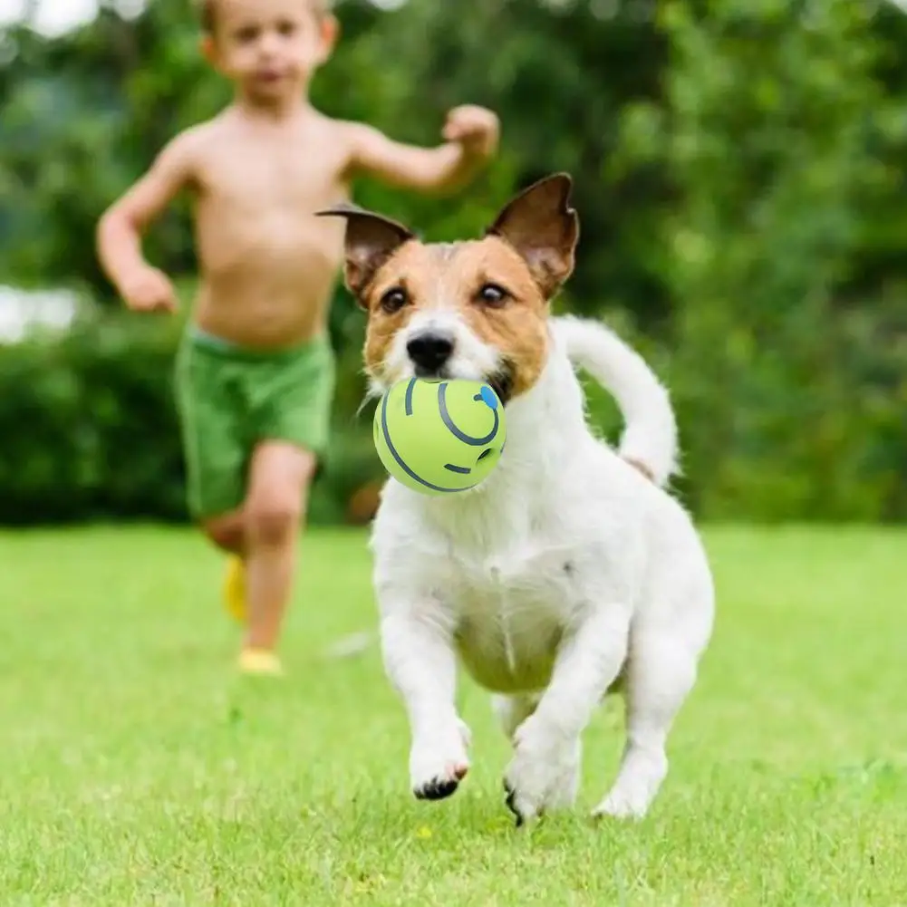 Забавный звук собаки Алмазная вышивка "Кошки Играют" мяч вобль ваг Giggle Chew Ball Puppy тренировочный мяч с забавным звуком подарок поставка