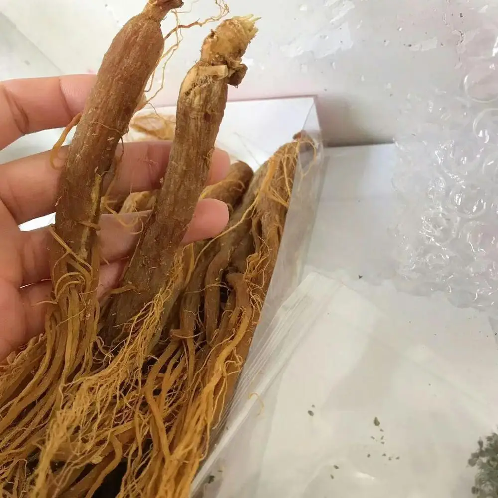 

Sugar free red ginseng, ginseng, improve immunity, prevent hypertension, Improve frequent insomniaFree Shipping