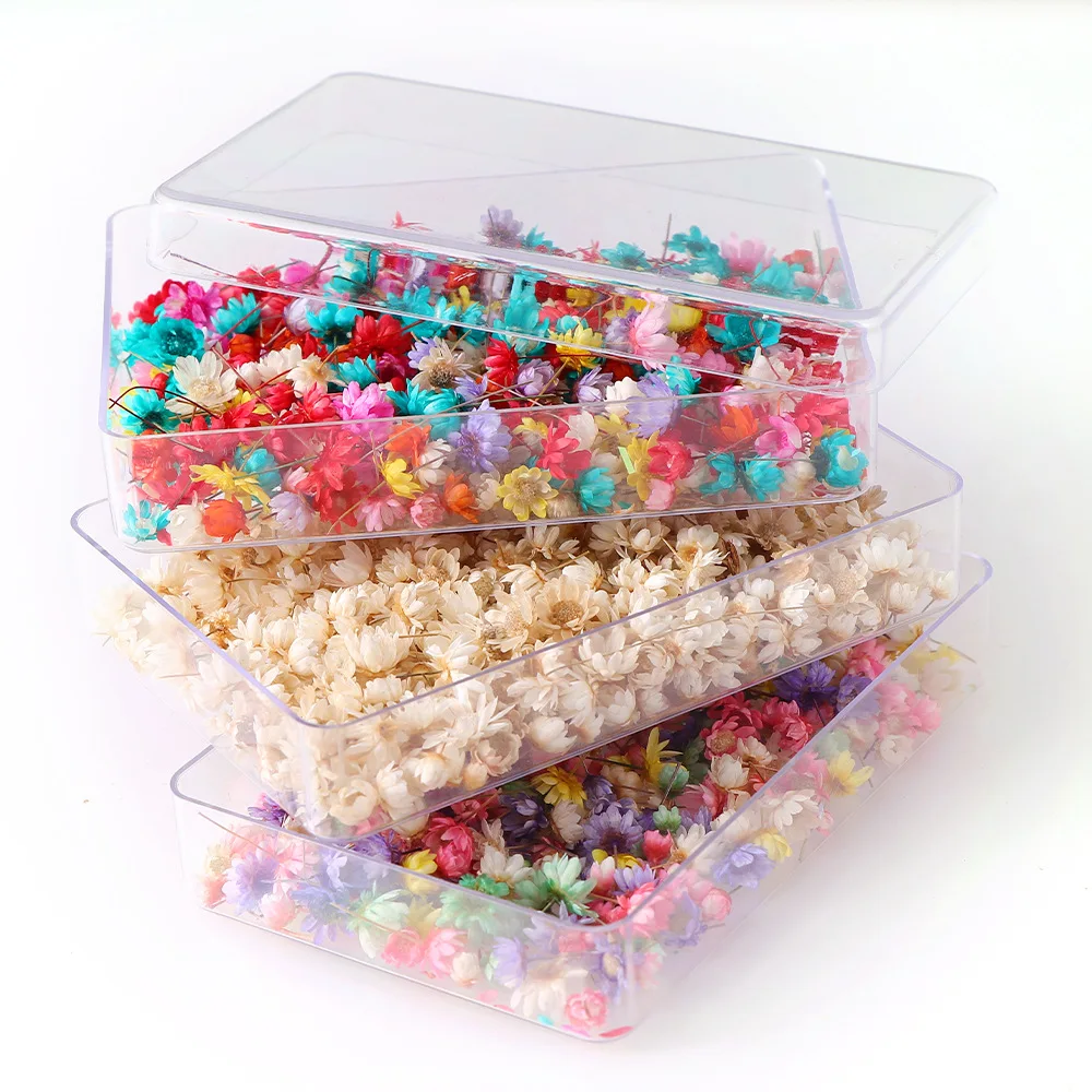 200pcs New Natural Small Star Dried Flower Head DIY Wreath Home Decoration Crystal Epoxy Resin Filling For Craft |