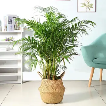 

Handmade Woven Seagrass Wickerwork Basket Rattan Hanging Pot Dirty Basket Quality Flower Storage High Laundry N6M7