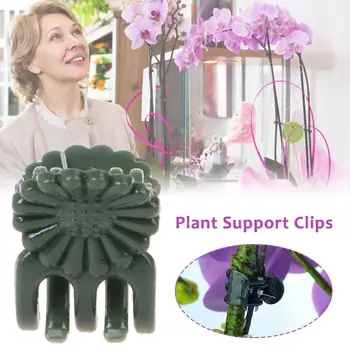 

50PCS Plastic Plant Support Clips Orchid Stem Clip for Vine Support Vegetables Flower Tied Bundle Branch Clamping Garden Tool