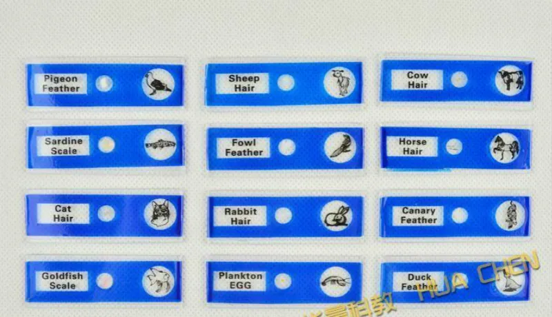 48 pezzi/set vetrini per microscopio preparati in plastica di animali  insetti piante fiori campioni per microscopi Stereo - AliExpress