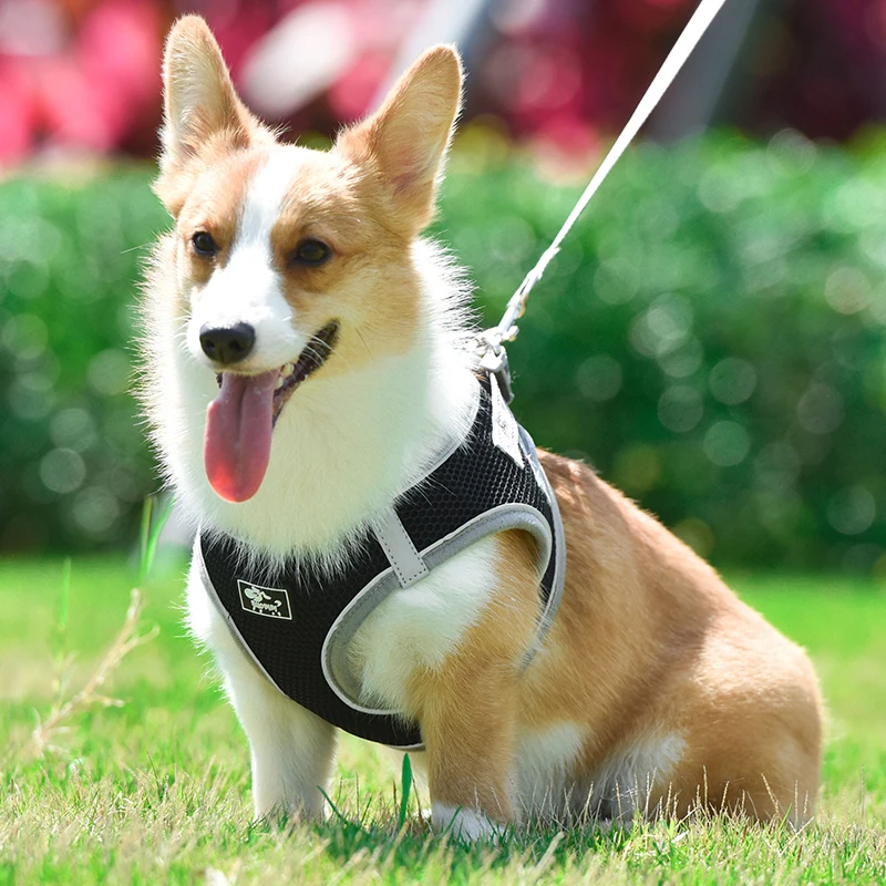 Dog Harness Cat Harness Dogs Leashs Training Soft Mesh Chest Strap