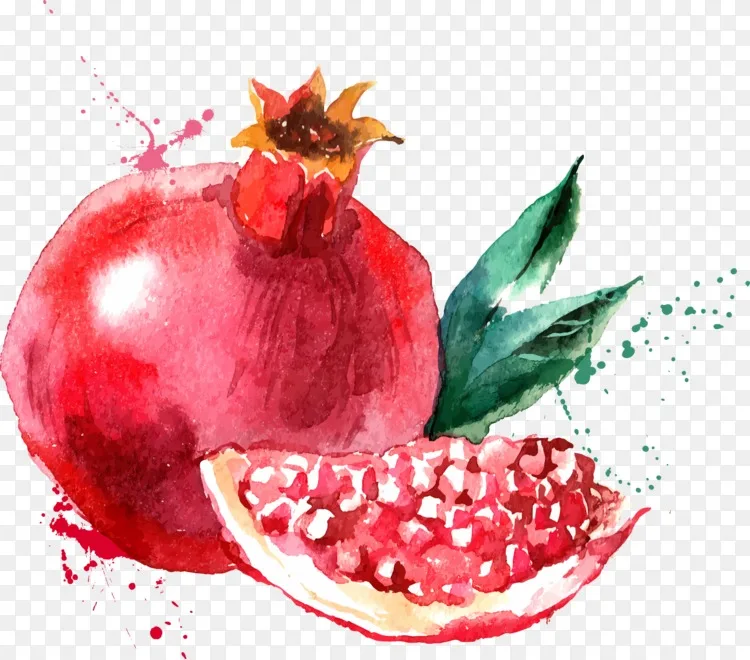水彩画水果画png图片素材免费下载 图片编号 Png素材网 水彩画水果画png图片素材免费下载 图片编号 Png素材网