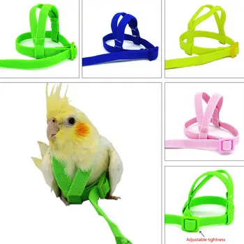 

2m Anti Bite Flying Training Rope Bird Parrot Leash Ultralight Harnesses Leash Portable Soft Band Pet Bird Supplies C42