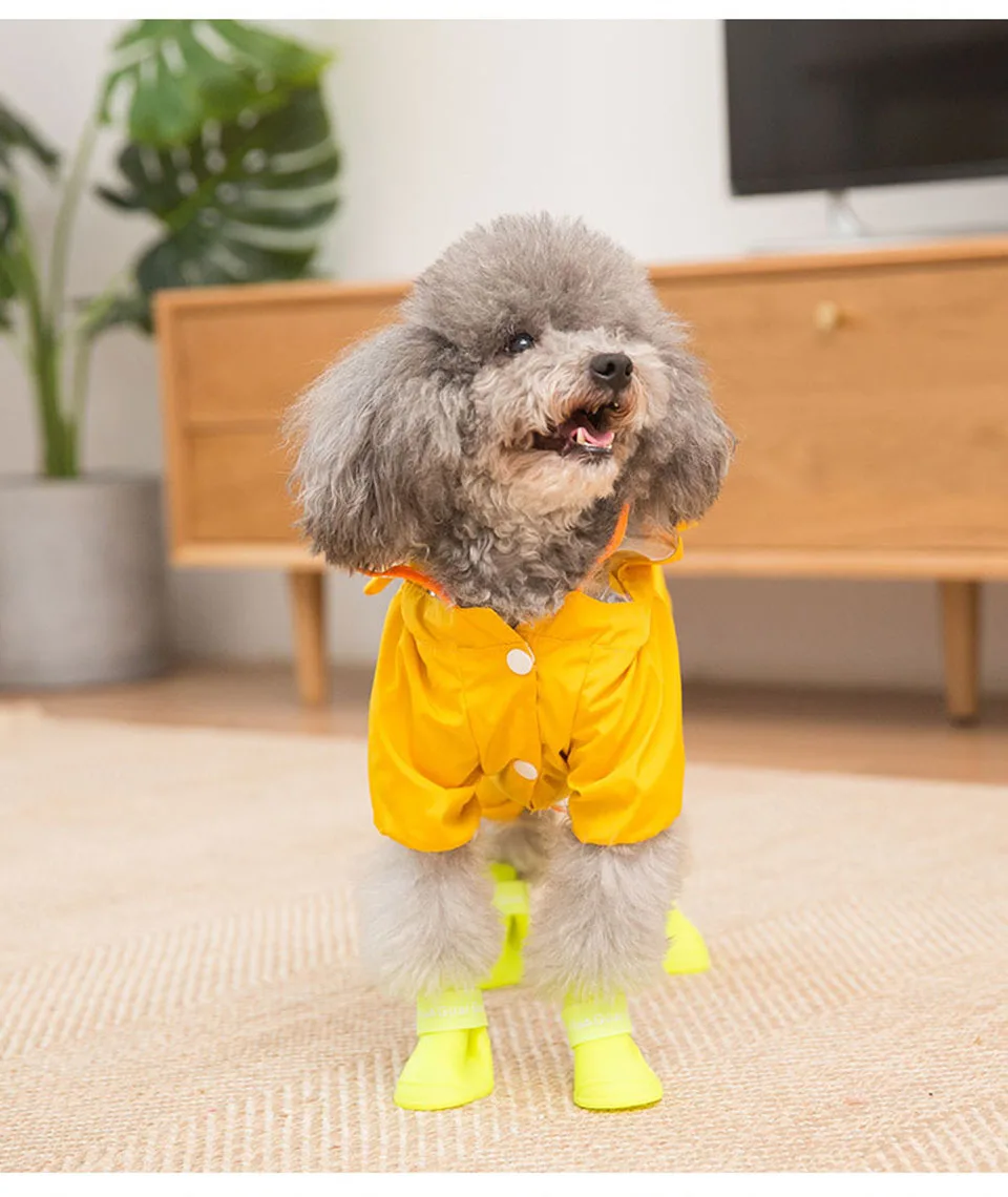 Funny Dog Raincoat - Cosplay In Many Styles