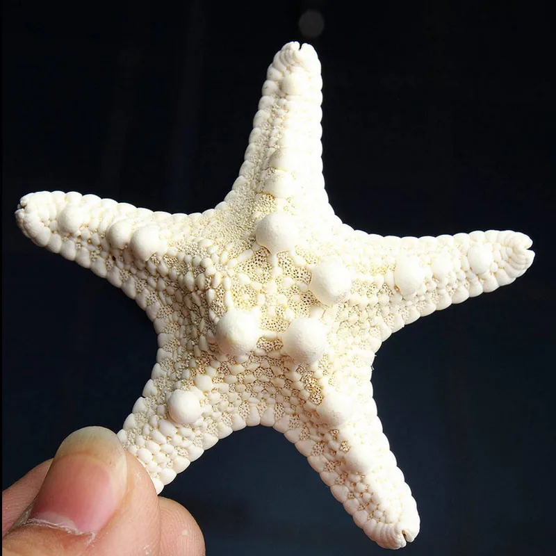1 шт. миниатюрная фигурка мини Морская звезда аксессуары для украшения дома
