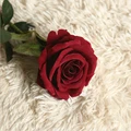 Image 17