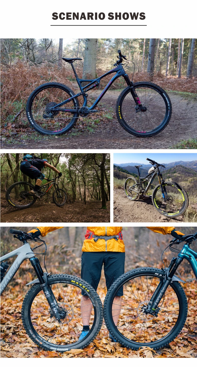carbon rims case