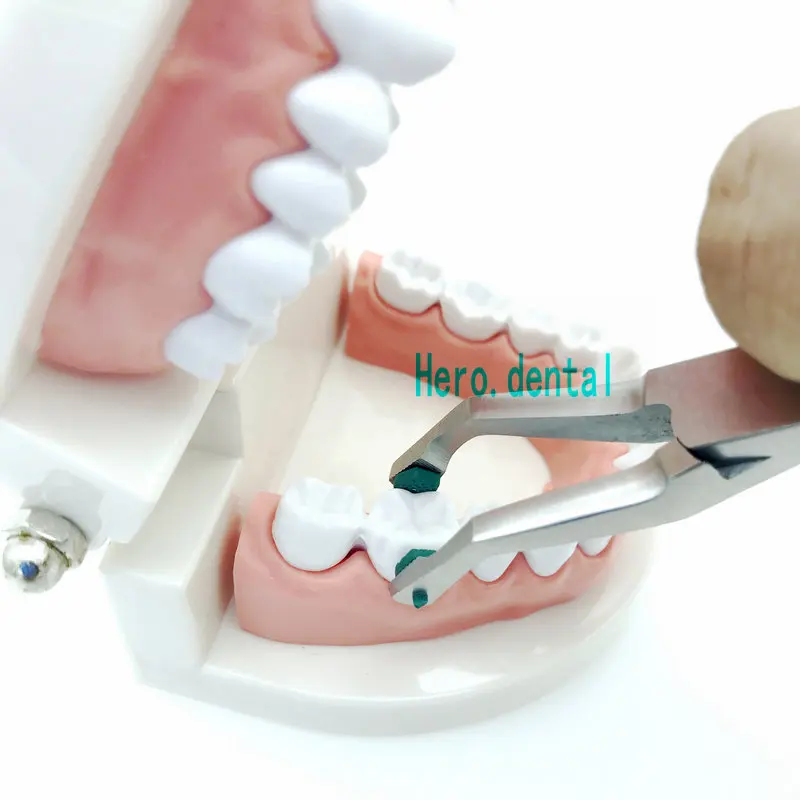Kopen Kroon Tang Met Groene Rubber Getipt Dental Chirurgische