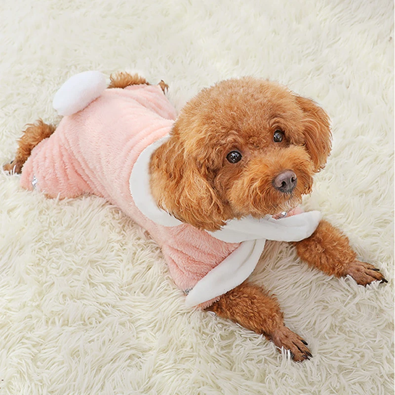 THE STRIPED DOG ORBIT ジッパー付きボンバージャケット XS THE STRIPED DOG ORBIT ジッパー付きボンバージャケット XS