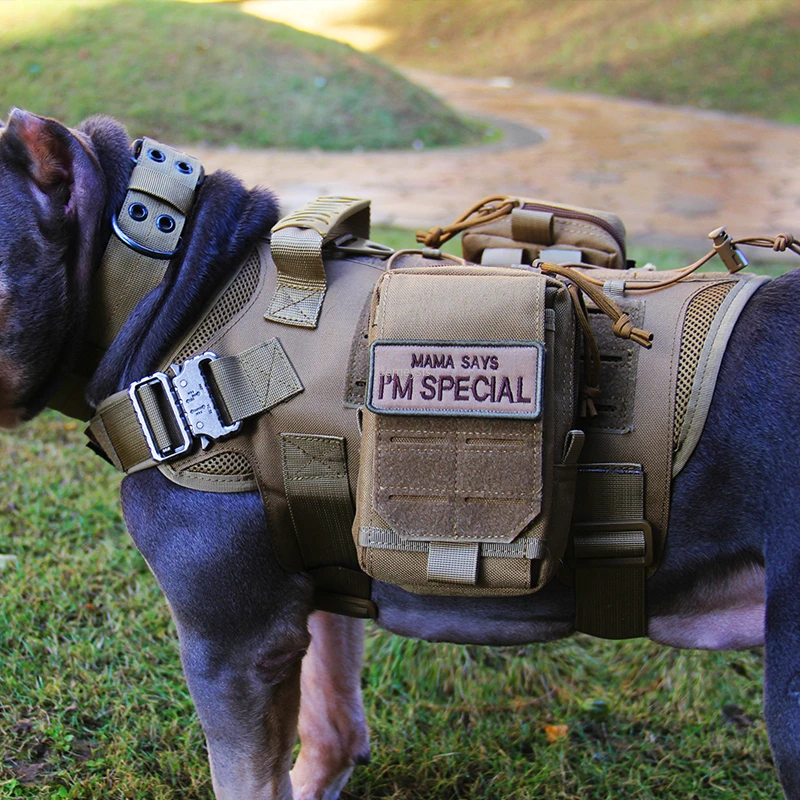 

Tactical Dog Vest Military Hunting Shooting Cs Army Service Dog Vests Nylon Pet Vests Airsoft Training Molle Dog Vest Harness