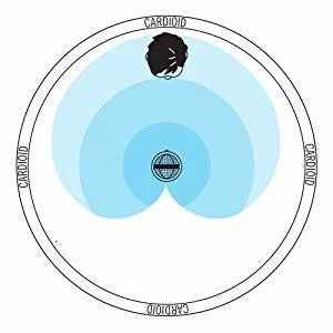 Cardioid Pickup