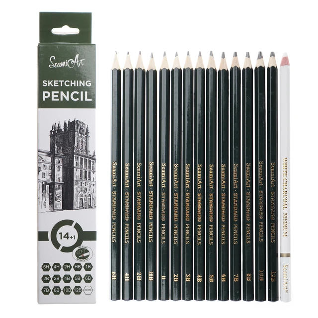 Premium Charcoal Drawing Pencils for Artists - 6 Pieces Soft Medium and  Hard - Charcoal Pencils for Drawing, Sketching and Shading - Great Non  Toxic